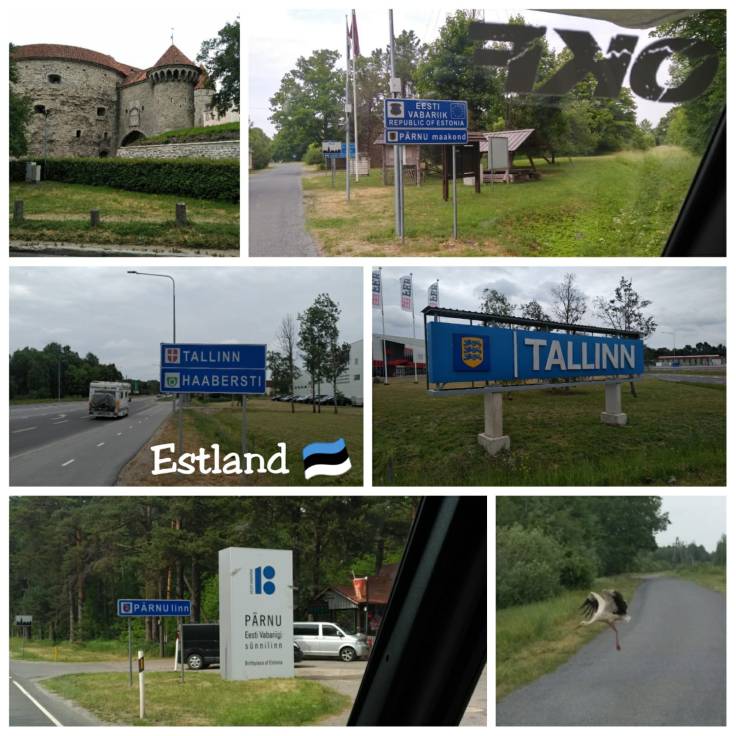 Collage Estland