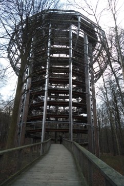 img_20181228_1430492